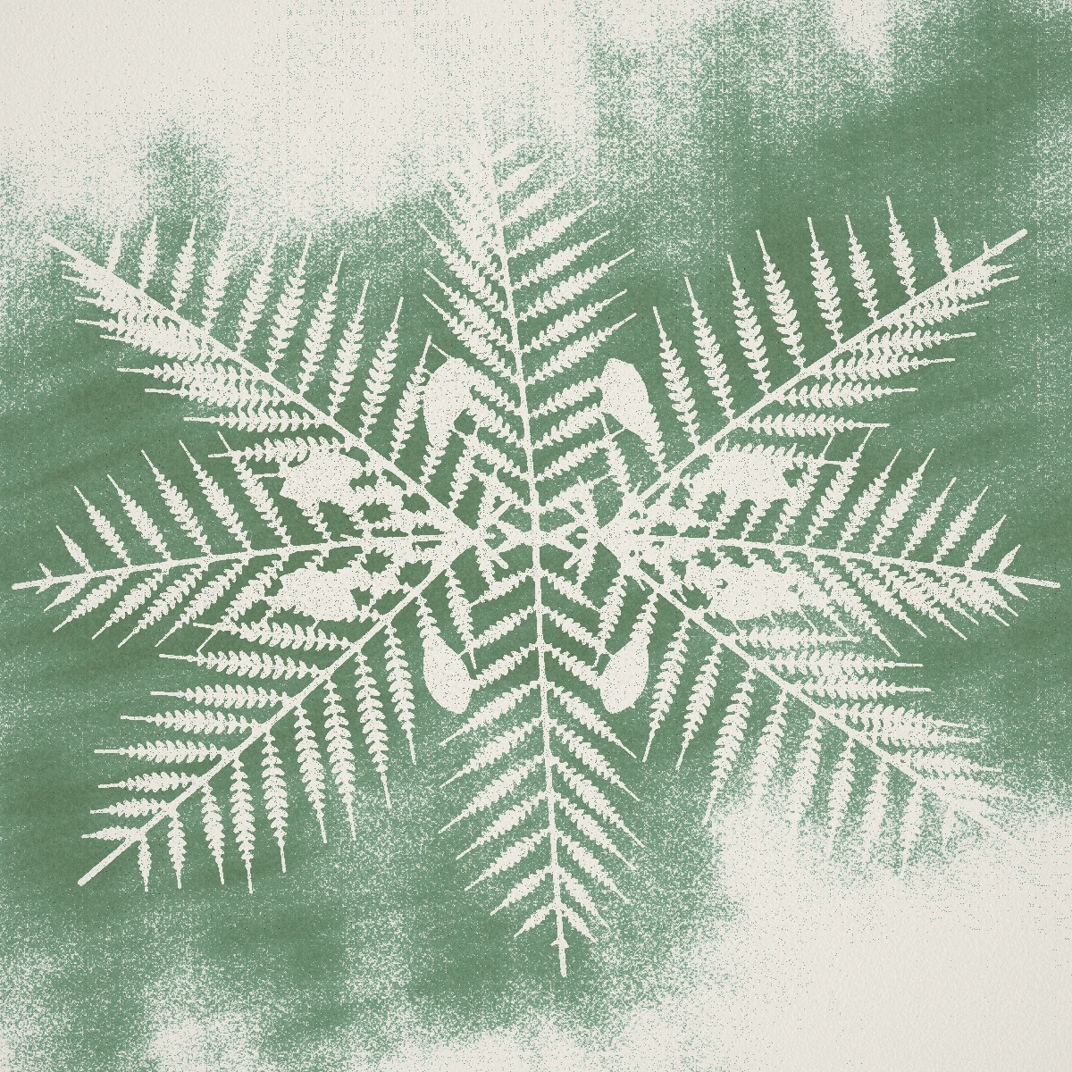 a group program on the auro record, on a painted forest sheet