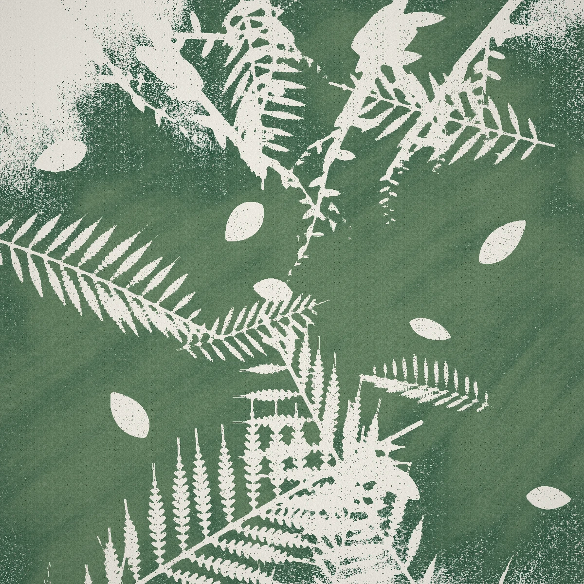 a group program on the auro record, on a painted forest sheet